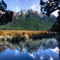 Reflections